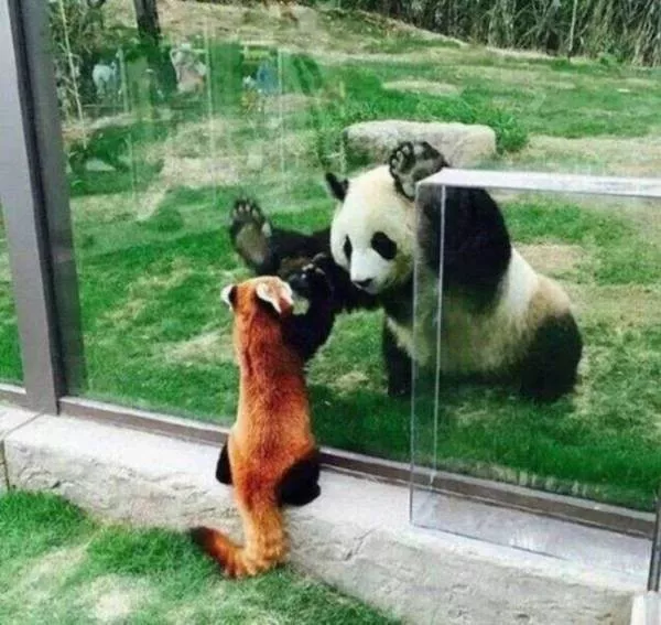 Picdump 1121 - #10 