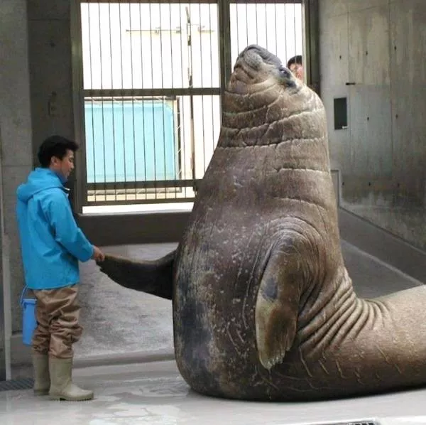Picdump 1122 - #24 Picdump 1122 - #24