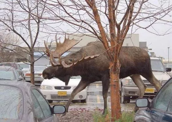 Picdump 1122 - #26 Picdump 1122 - #26