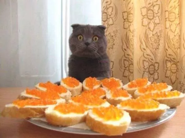 Picdump 1122 - #36 Picdump 1122 - #36
