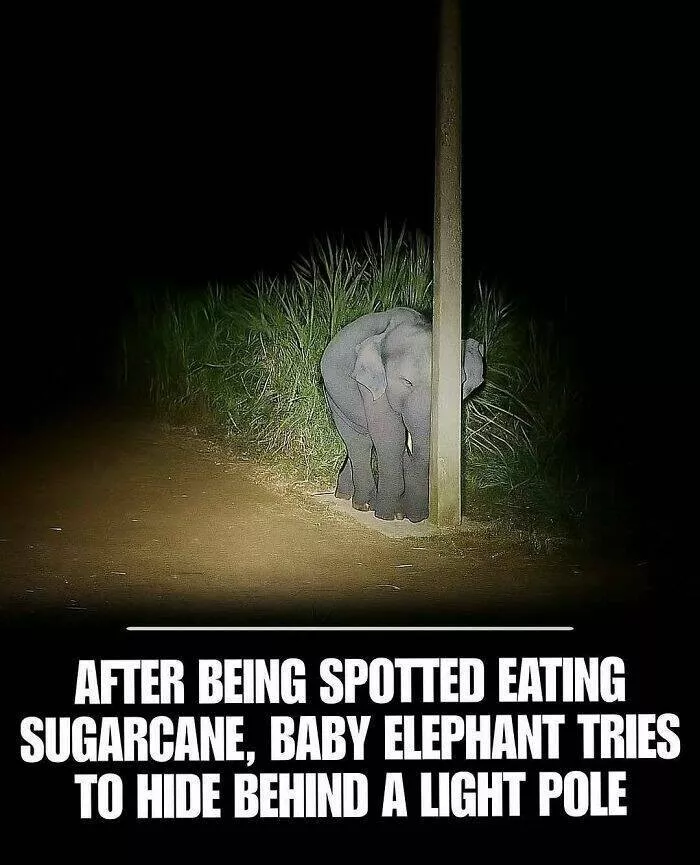 Cute heartwarming posts for better day - #11 Cute heartwarming posts for better day - #11