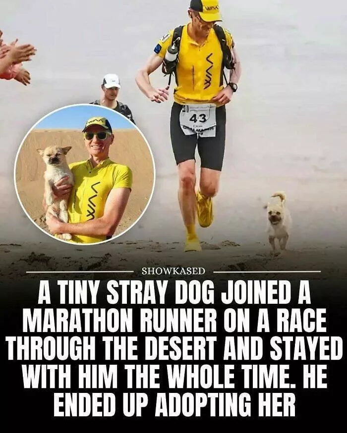 Cute heartwarming posts for better day - #14 Cute heartwarming posts for better day - #14