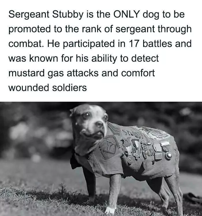Cute heartwarming posts for better day - #17 Cute heartwarming posts for better day - #17