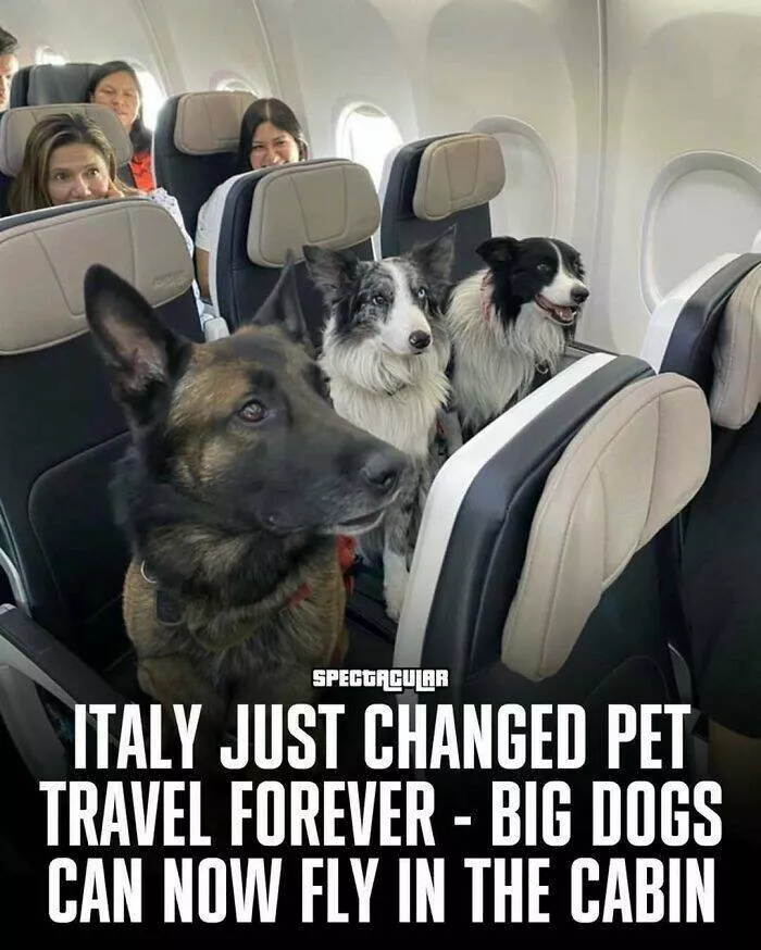 Cute heartwarming posts for better day - #23 Cute heartwarming posts for better day - #23