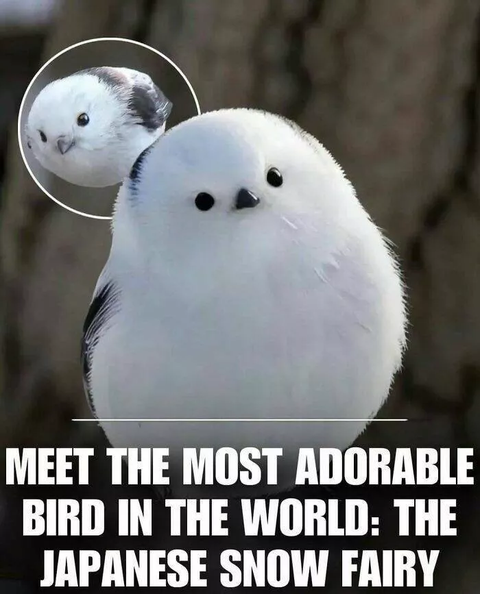 Cute heartwarming posts for better day - #24 Cute heartwarming posts for better day - #24