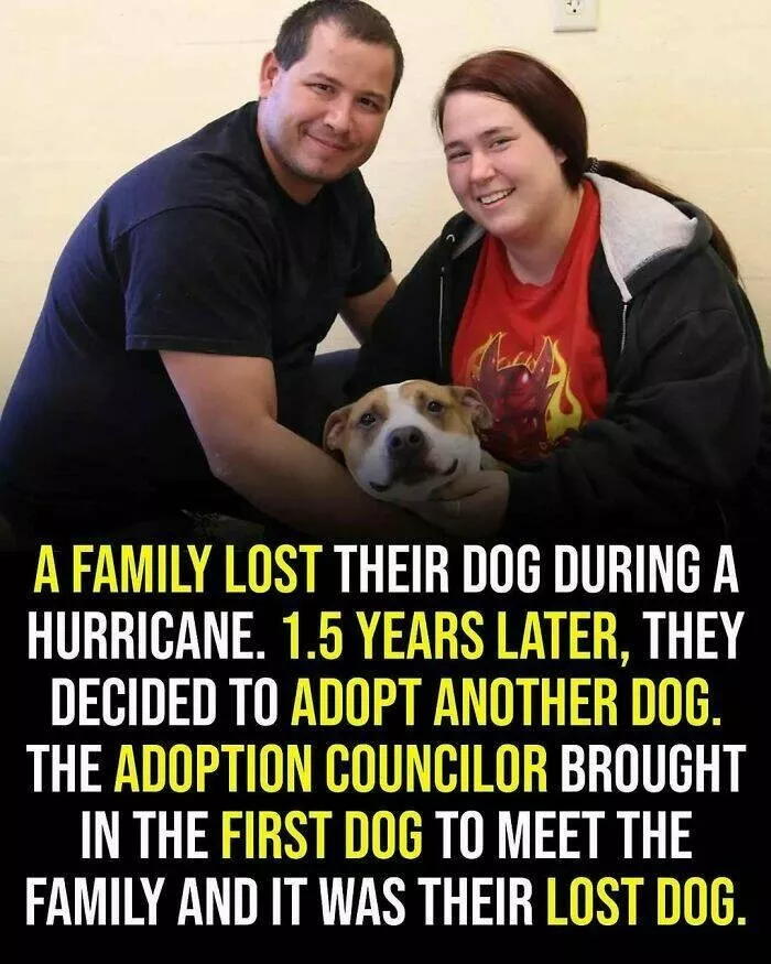 Cute heartwarming posts for better day - #26 Cute heartwarming posts for better day - #26