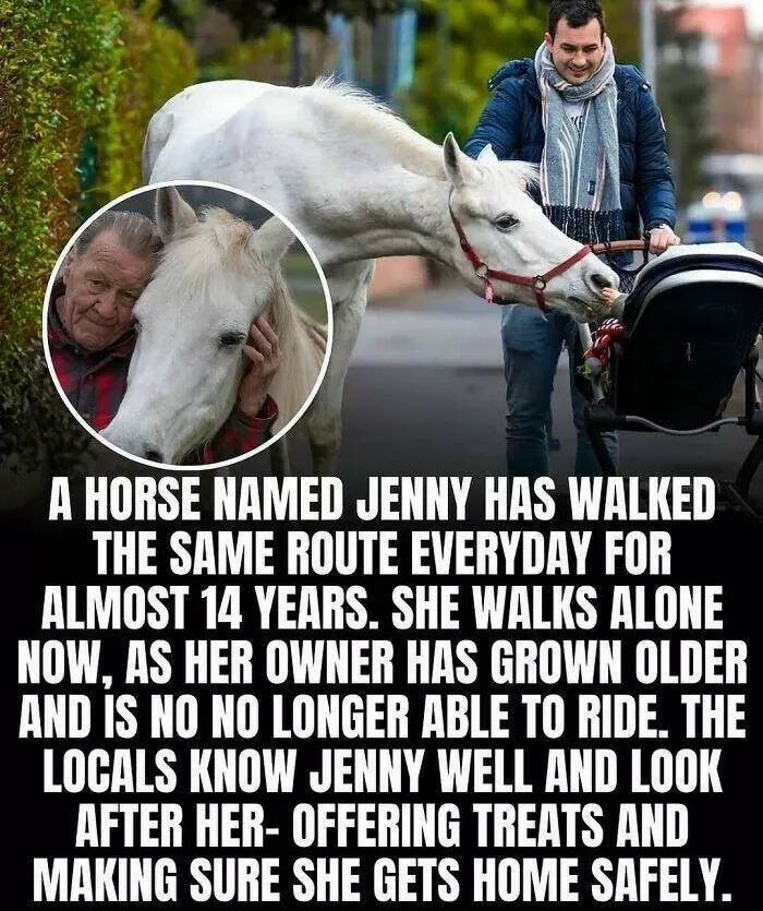 Cute heartwarming posts for better day - #7 Cute heartwarming posts for better day - #7