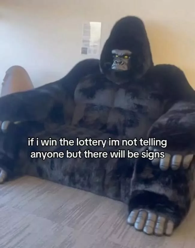 Lottery winner energy in meme form - #15 Lottery winner energy in meme form - #15