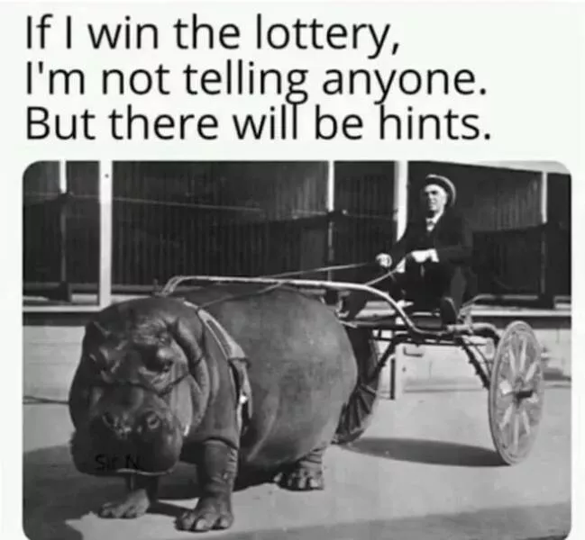 Lottery winner energy in meme form - #5 Lottery winner energy in meme form - #5