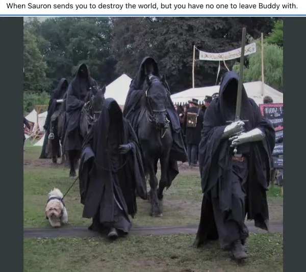 Lotr memes for your daily quest - #34 Lotr memes for your daily quest - #34