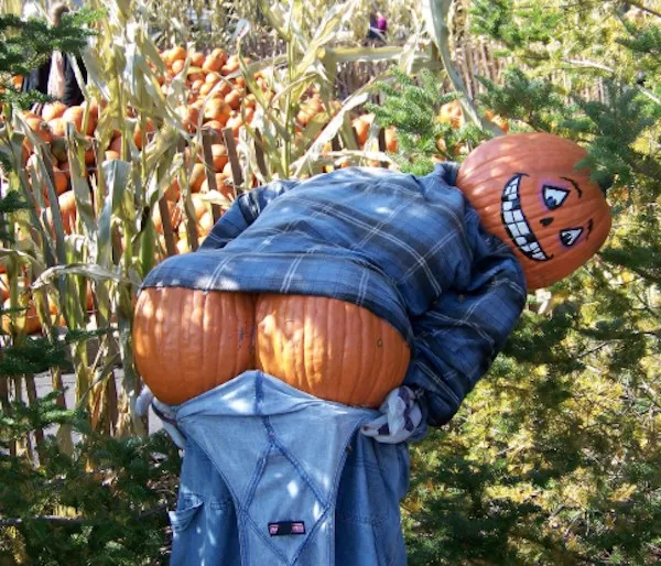 Picdump 1123 - #1 Picdump 1123 - #1