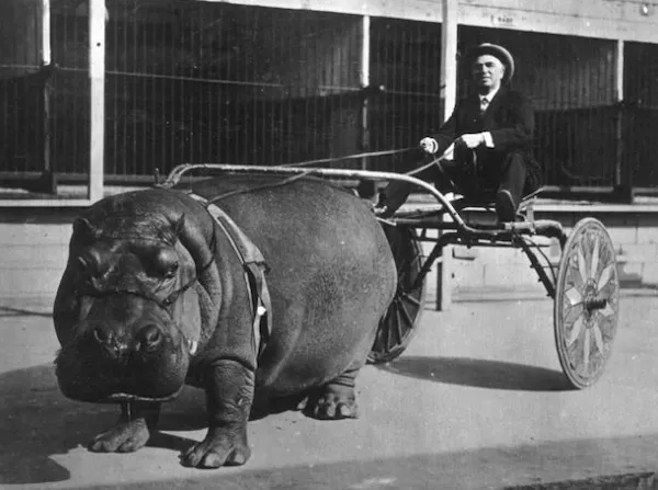 Picdump 1123 - #21 Picdump 1123 - #21