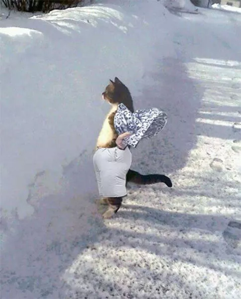 Picdump 154 - #1 