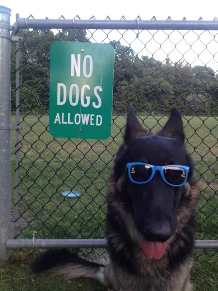 Picdump 154 - #60 