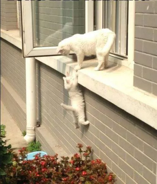 Picdump 154 - #82 