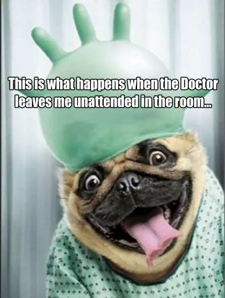 Picdump 154 - #9 