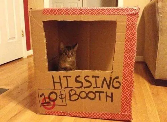 Picdump 154 - #90 