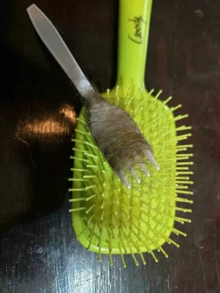 Funny creations only kids could think - #14 My 13-Year-Old Daughter Invented A Way To Clean Hair Brushes Funny creations only kids could think - #14 My 13-Year-Old Daughter Invented A Way To Clean Hair Brushes
