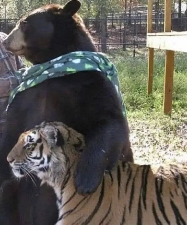 Picdump 1126 - #11 Picdump 1126 - #11