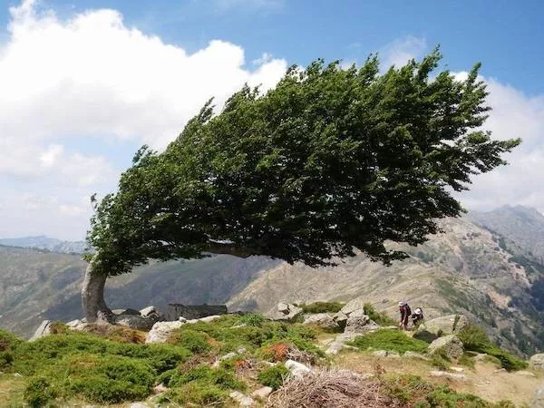 Picdump 1126 - #13 Picdump 1126 - #13