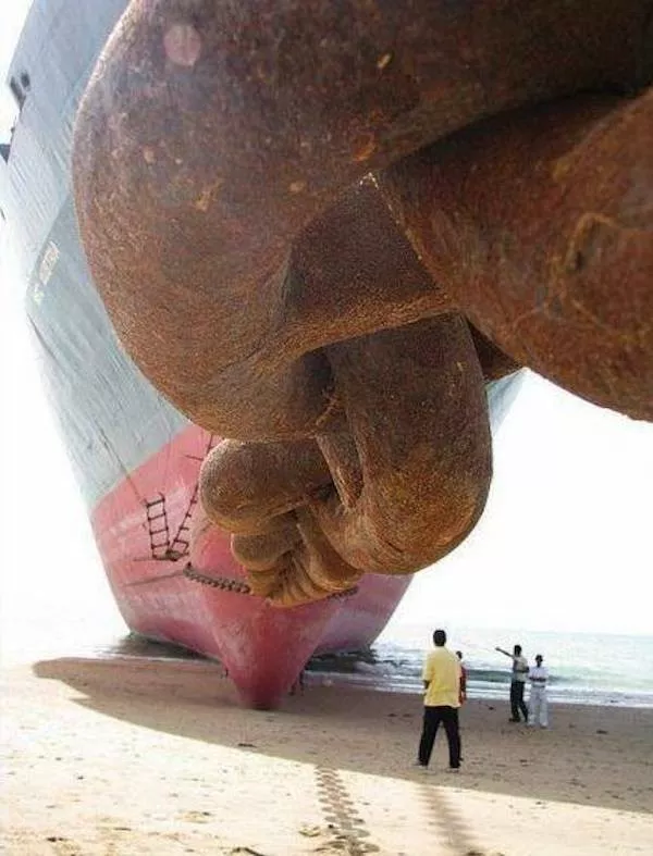 Picdump 1126 - #8 Picdump 1126 - #8