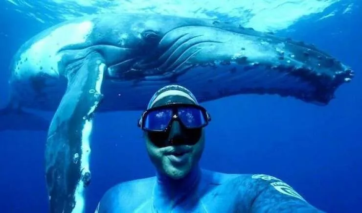 Picdump 1127 - #14 