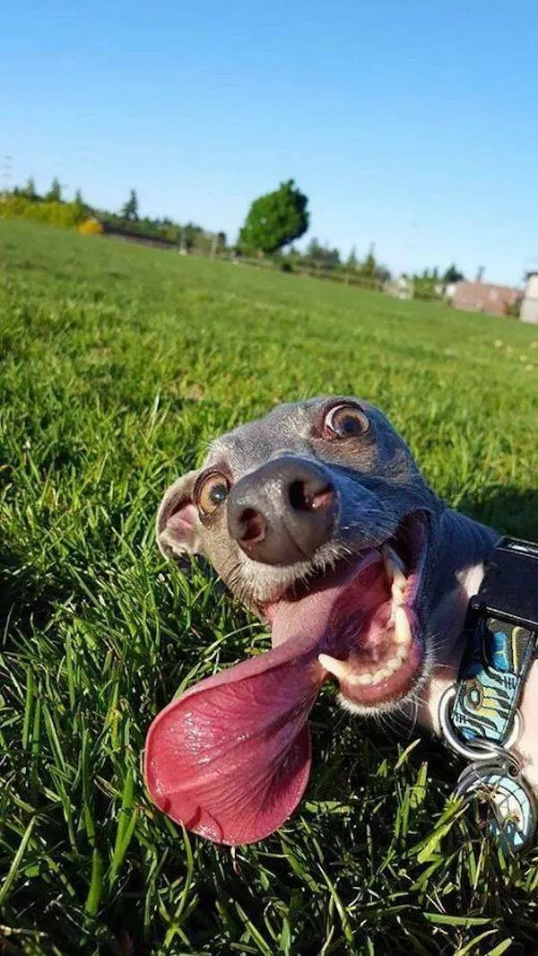 Picdump 1127 - #20 