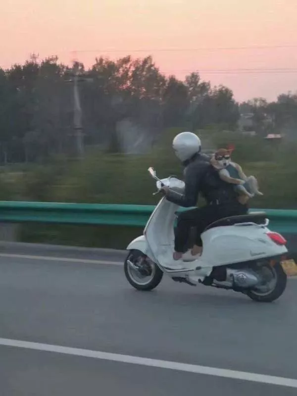 Picdump 1127 - #6 Picdump 1127 - #6