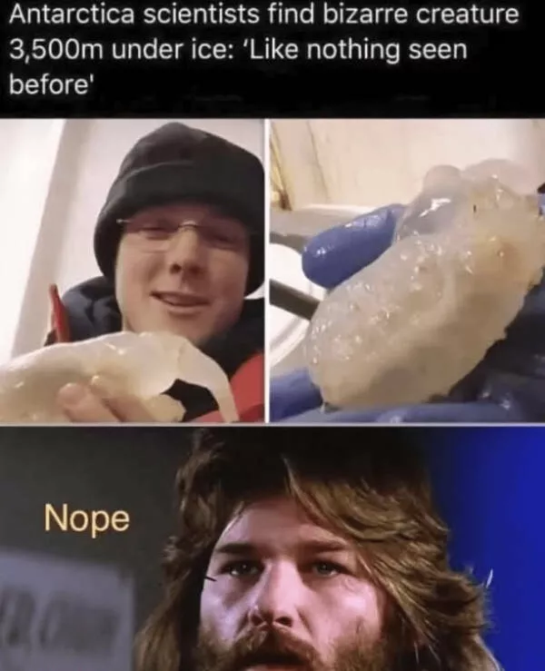 Revivez vos souvenirs avec ces memes - #27 Revivez vos souvenirs avec ces memes - #27