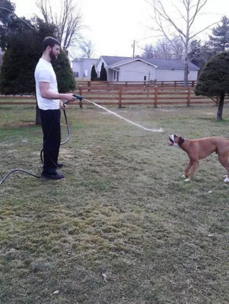 Perfectly timed pictures - #17 