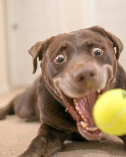 Perfectly timed pictures - #29 