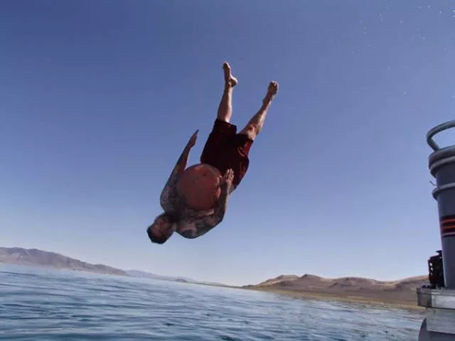 Perfectly timed pictures - #34 
