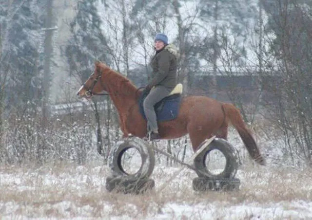 Perfectly timed pictures Perfectly timed pictures