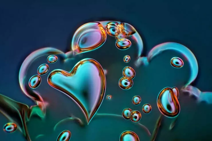 Explore the nikon small world micro photos - #26 Image Of Distinction: Marek Mi, Suwalki, Poland Explore the nikon small world micro photos - #26 Image Of Distinction: Marek Mi, Suwalki, Poland