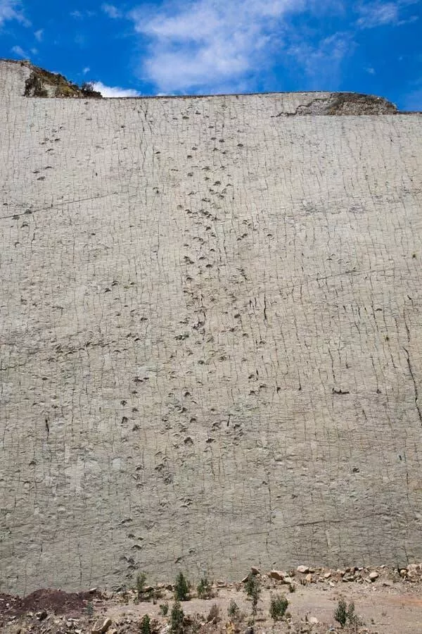Incredible shots that bend your brain a little - #12 Cal Orcko, a massive cliff in Bolivia with over 5,000 dinosaur footprints Incredible shots that bend your brain a little - #12 Cal Orcko, a massive cliff in Bolivia with over 5,000 dinosaur footprints
