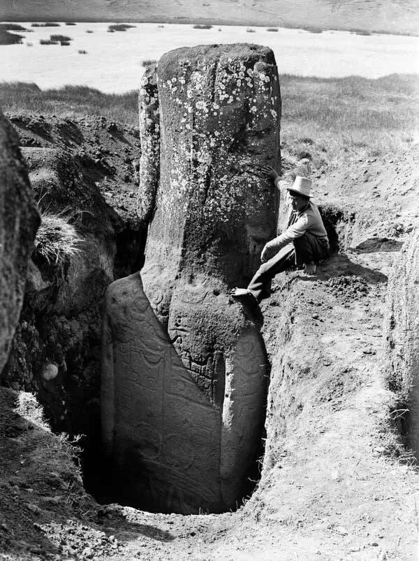 Incredible shots that bend your brain a little - #9 ...but they are massive and have intricate designs on their backs Incredible shots that bend your brain a little - #9 ...but they are massive and have intricate designs on their backs