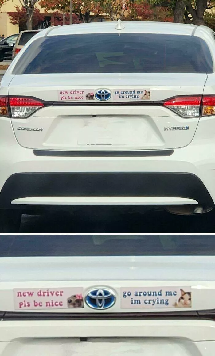 Funny bumper stickers stole the show - #15 