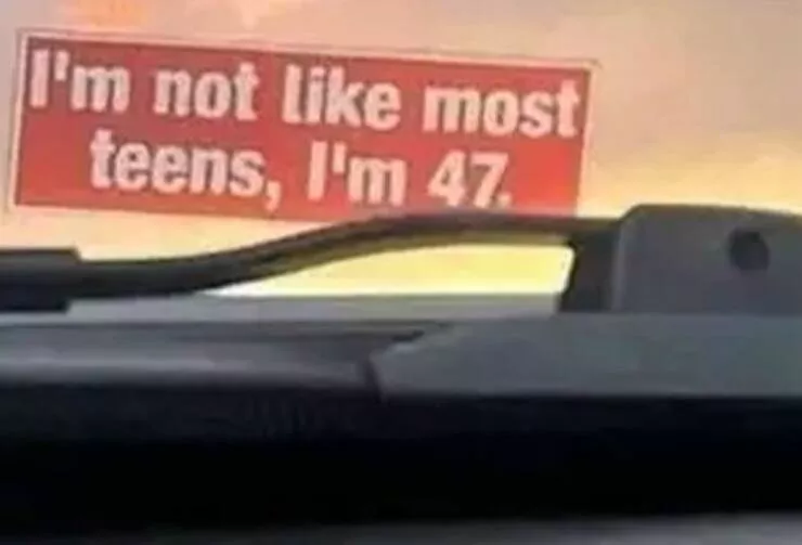 Funny bumper stickers stole the show - #16 
