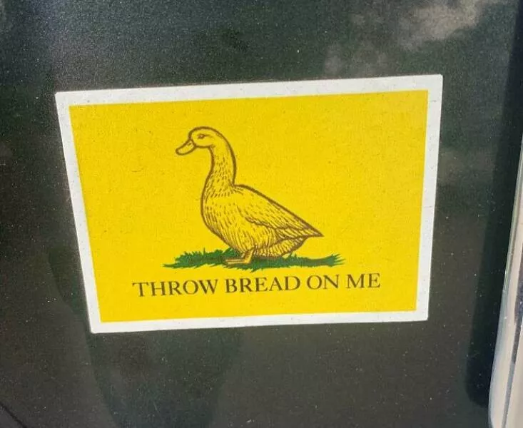 Funny bumper stickers stole the show - #20 
