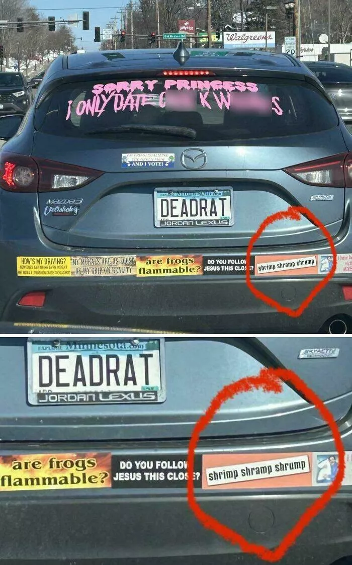 Funny bumper stickers stole the show - #29 Funny bumper stickers stole the show - #29