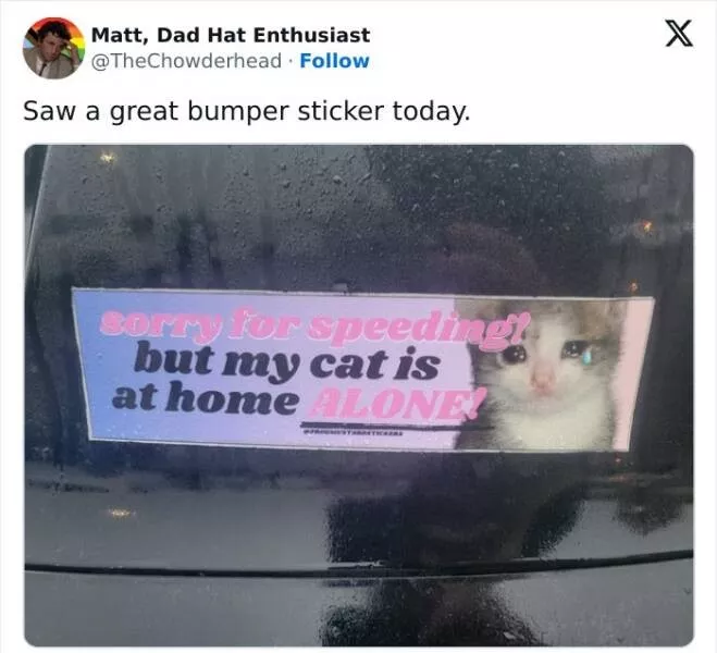 Funny bumper stickers stole the show - #3 