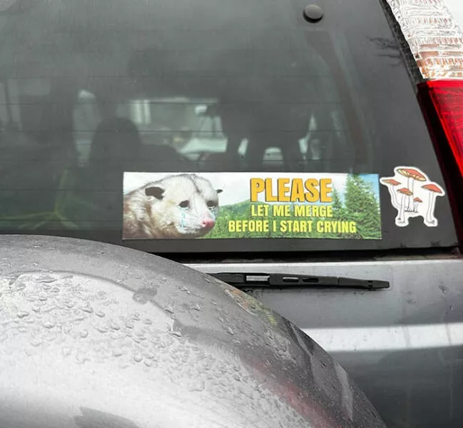 Funny bumper stickers stole the show - #37 Funny bumper stickers stole the show - #37