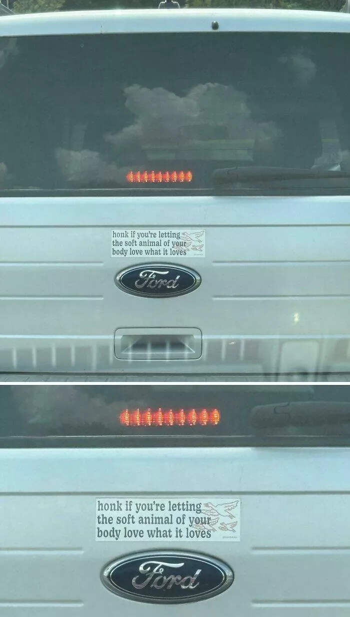 Funny bumper stickers stole the show - #41 Funny bumper stickers stole the show - #41