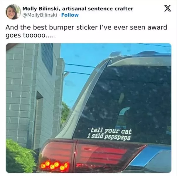Funny bumper stickers stole the show - #5 