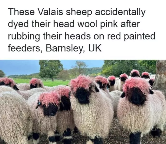 Hilarious photos that made us lose it - #1 Hilarious photos that made us lose it - #1