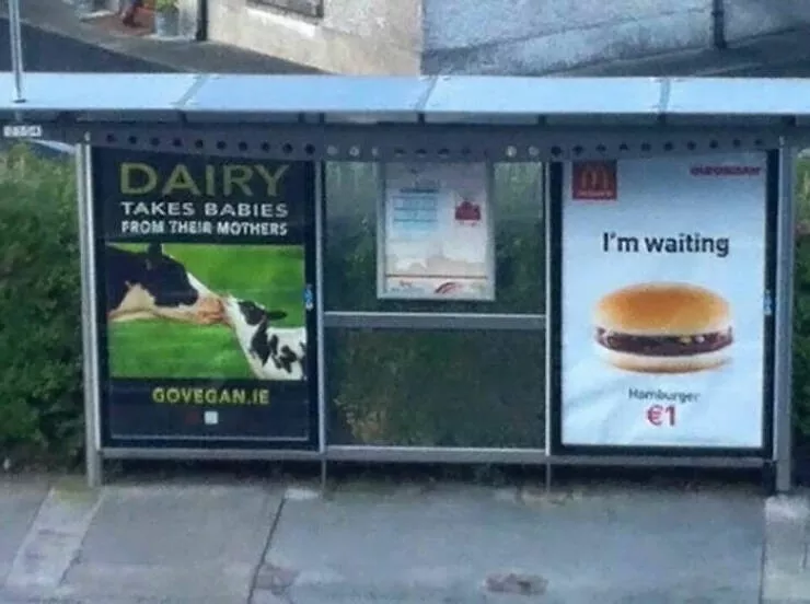 Hilarious photos that made us lose it - #15 Hilarious photos that made us lose it - #15