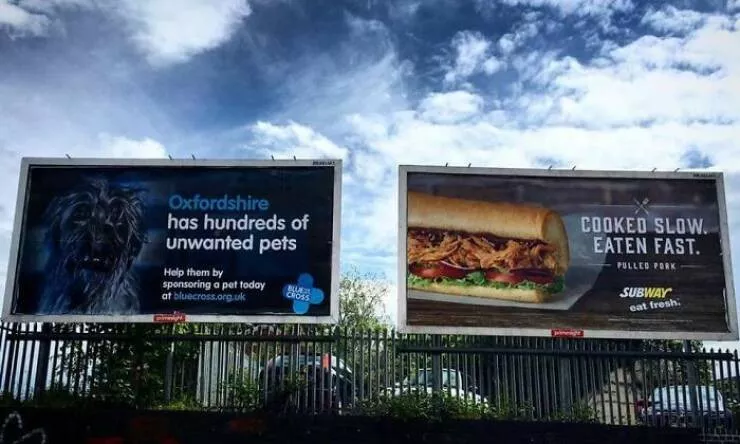 Hilarious photos that made us lose it - #6 Hilarious photos that made us lose it - #6