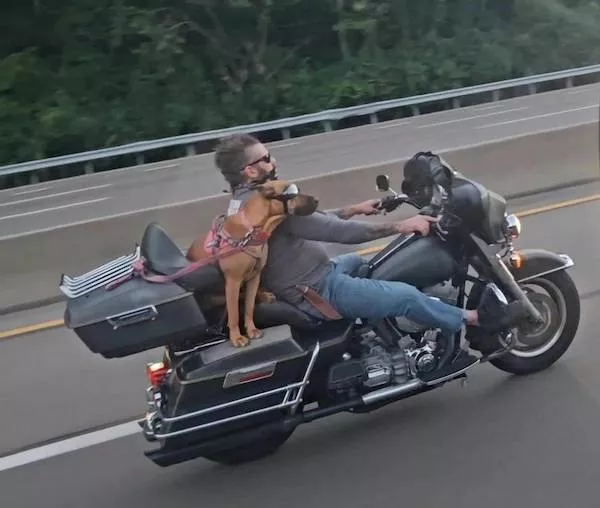 Picdump 1128 - #28 Picdump 1128 - #28