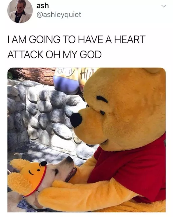 Wholesomeness is on the way - #1 