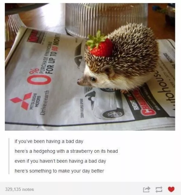 Wholesomeness is on the way - #10 